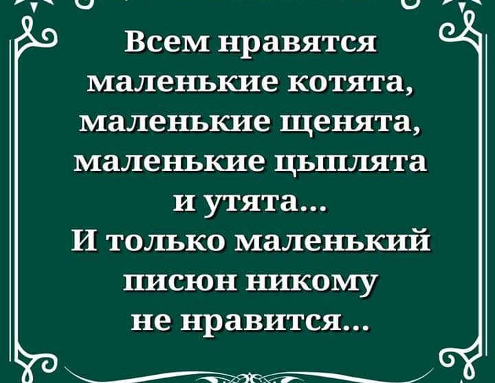 Всем нравятся маленькие котята маленькие щенята маленькие цьшлята и утята И только маленький писюн никому не нравится
