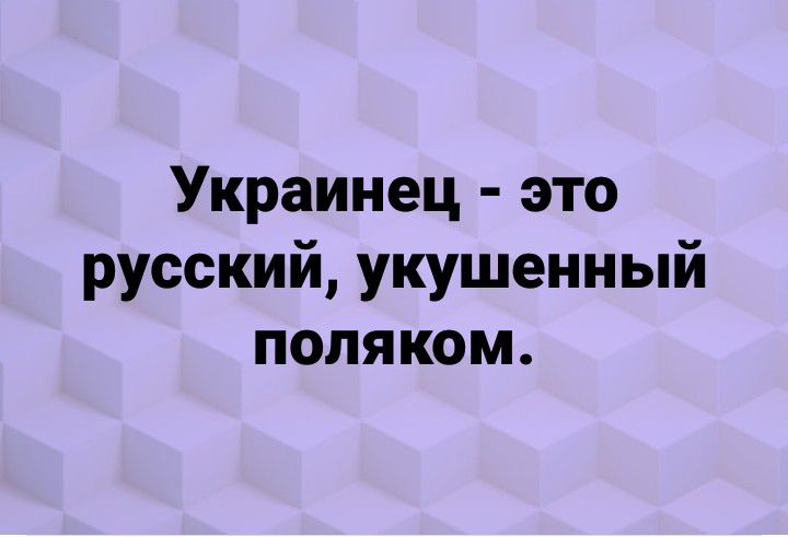 Украинец это русский укушенный поляком