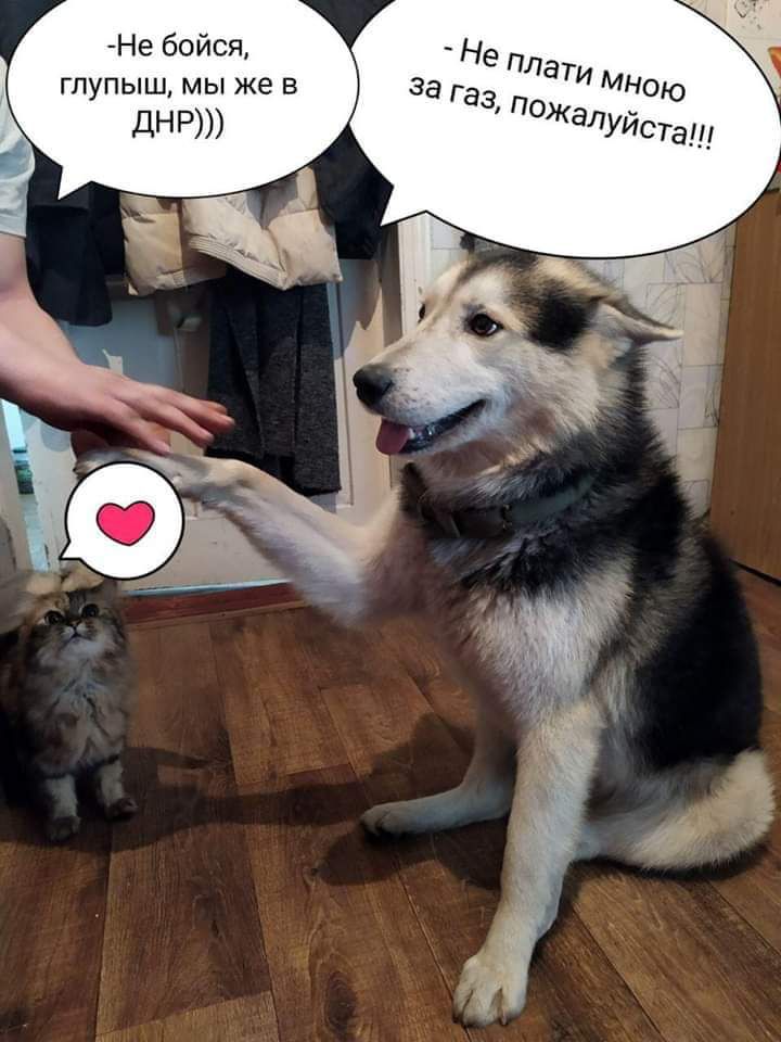 Не бойся глупыш мы же в