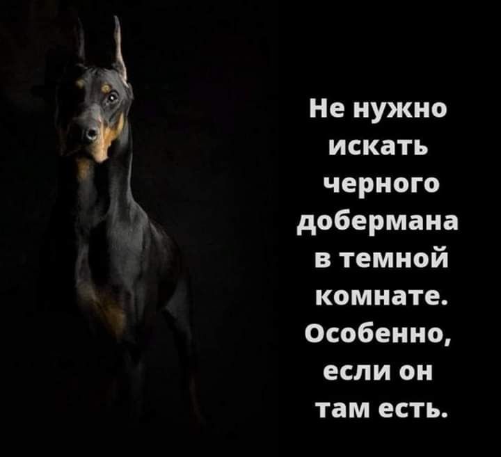 Не нужно искать черного добермана в темной комнате Особенно если он там есть