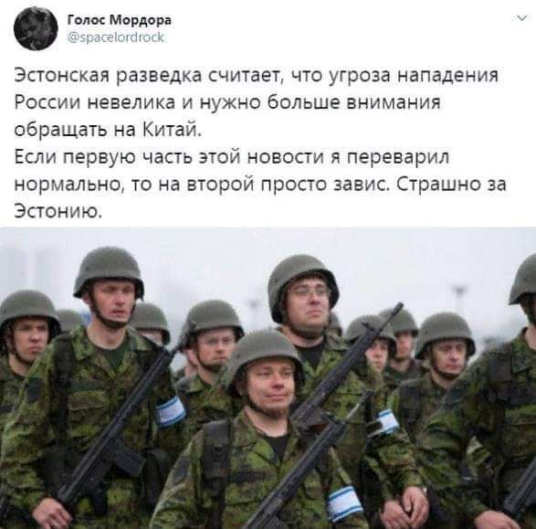 гамх Мордора Эстонская разведка считает что угроза нападения России невелика и нужно больше внимания обращать на Китай Если первую часть этой новости я переварил нормально то на второй просто завис Страшно за Эстонию