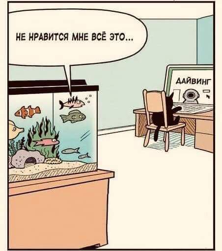 НЕ НРАВИТСЯ МНЕ ВСЁ ЭТО