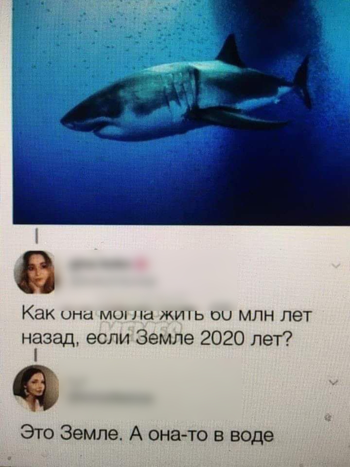 Как она мог на жигь 00 млн лет назад если Земле 2020 лет Это Земле А она то в воде