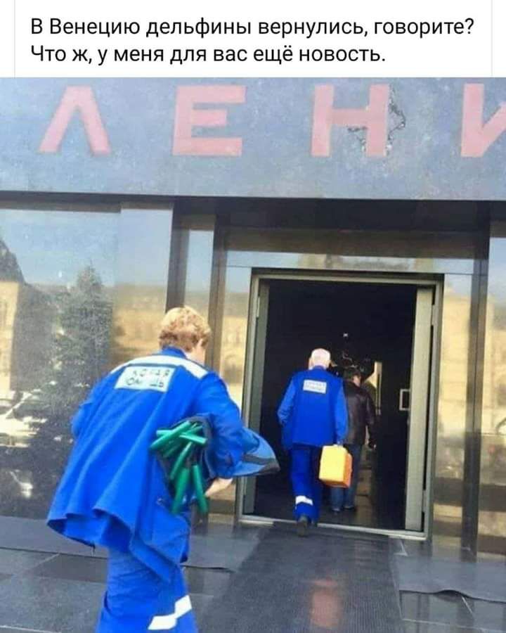 В Венецию дельфины вернулись говорите Что ж у меня для вас ещё новость