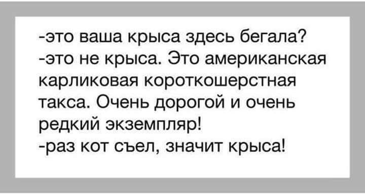это ваша крыса здесь бегала это не крыса Это американская карликовая короткошерстная такса Очень дорогой и очень редкий экземпляр раз кот съел значит крыса