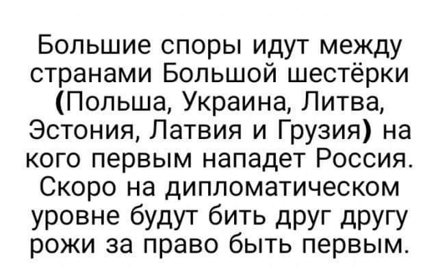 Большие споры идут между странами Большой шестёрки Польша Украина Литва Эстония Латвия и Грузия на кого первым нападет Россия Скоро на дипломатическом уровне будут бить друг другу рожи за право быть первым