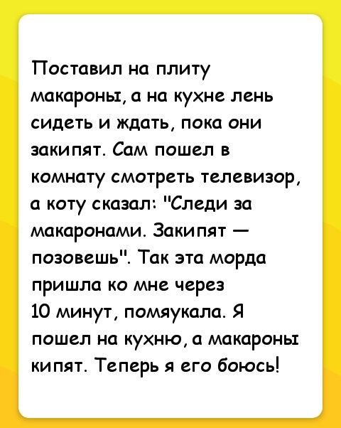 Поставил на плиту макароны а на кухне лень сидеть и ждать пока они закипят Сам пошел в комнату смотреть телевизор а коту сказал Следи за макаронами Заки пят позовешь Так зта морда пришла ко мне через 10 минут помяукала Я пошел на кухню а макароны кипят Теперь я его боюсь