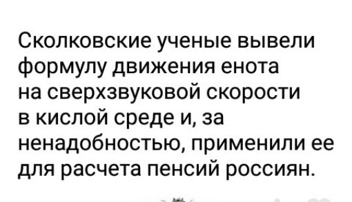 Сколковские ученые вывели формулу движения енота на сверхзвуковой скорости в кислой среде и за ненадобностью применили ее для расчета пенсий россиян