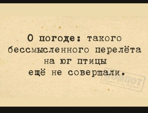 0 погоде такого бессмысленного перелёта на юг птицы ещё не совершали