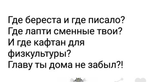 Где береста и где писало Где лапти сменные твои И где кафтан для физкультуры Главу ты дома не забыл 4