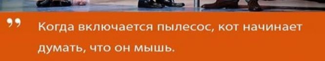 Когда ВКЛЮЧЗЕСЯ пылесос КОТ начинает думать ЧТО ОН МЫШЬ