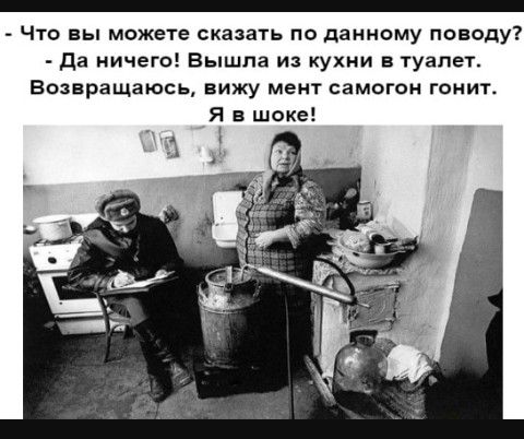 _ Что вы можете сказать по данному поводу да ничего Вышла из кухни в туалет Возвращаюсь вижу мент самогон гонит Я в шоке