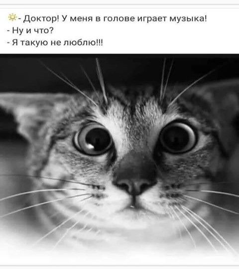 _ Доктпр у меня в голове играет музьа _ Нуи что Ятакую не люблю