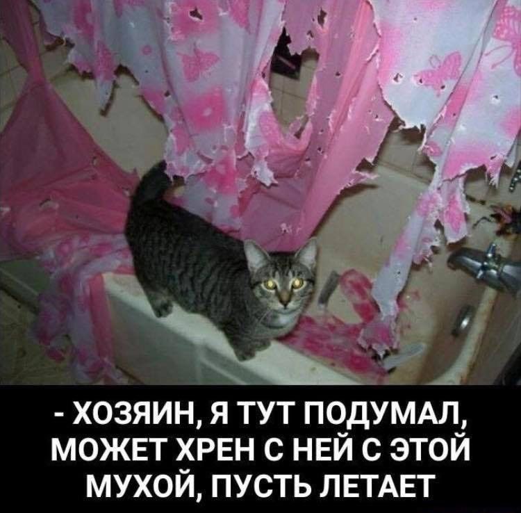 хозяин я тут подумдл можвт ХРЕН с НЕЙ с этой мухой пусть ЛЕТАЕТ