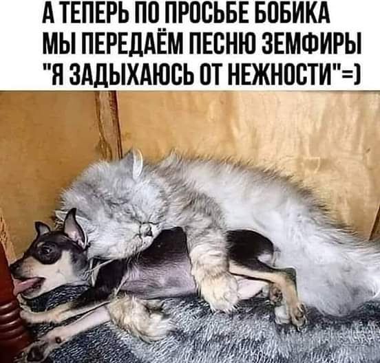 А ТЕПЕРЬ П0__ПР08ЬБЕ БПБИКА МЫ ПЕРЕДАЕМ ПЕСНЮ ЗЕМФИРЫ Я ЗАДЫХАЮБЬ ПТ НЕЖНПЕТИ1