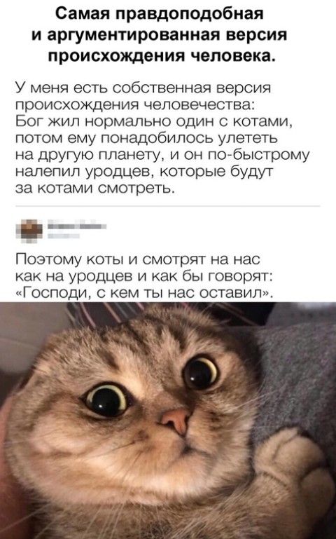 Самая правдоподобная и аргументированная версия происхождения человека У меня есть собственная версия происхождения человечества БОГ ЖИЛ Нормально ОДИН С КОТЗМИ потом ему понадобилось улететь на другую планету и он поАбыстрому налепил уродцев которые будут за котами смотреть _ _ ПОЭТОМУ КОТЫ И смотрят на нас как на уродцев и как бы говорят Господи с кем ты нас оставил