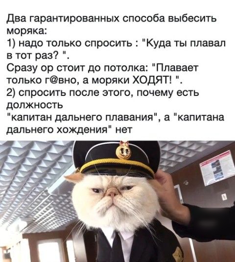Два гарантированных способа выбесить моряка 1 надо только спросить Куда ты плавал в тот раз Сразу ор стоит до потолка Ппавает только гвно а моряки ХОДЯТ 2 спросить после этого почему есть должность капитан дальнего плавания а капитана дальнего хождения нет