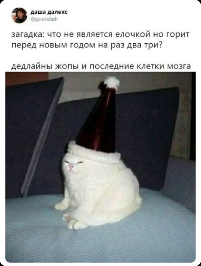 даша далек ЗдГЗДКЗЗ ЧТО не ЯВЛЯЕТСЯ ЭЛОЧКОЙ НО ГОРИТ перед НОВЫМ ГОДОМ Нд раз два ТРИ дедлайны ЖОПЫ И ПОСЛЭДНИЭ КЛЭТКИ МОЗГЭ