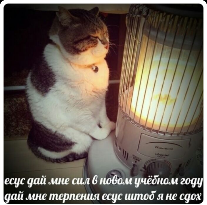 жпшрпищяесусшпшбянесцож