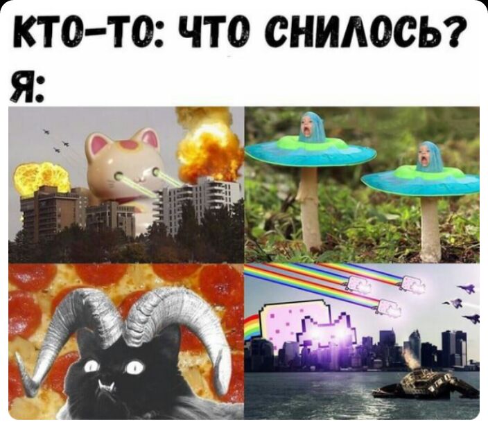 Г 1 КТ О ТО ЧТО СНИАОСЬ я