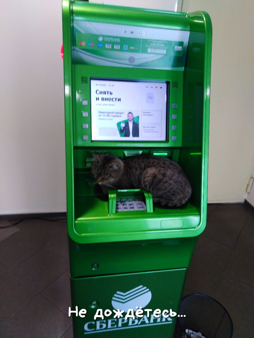 Не до Л