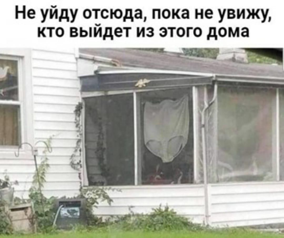 Не уйду отсюда пока не увижу кто выйдет из этого дома