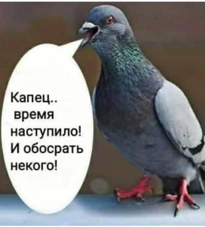 Капец время наступило И обосрать некого