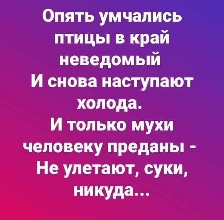 Опять умчались птицы в край неведомый И снова наступают холода И только мухи человеку преданы Не улетают суки никуда