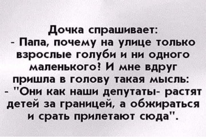 дочка спрашивает Папа почему на улице только взрослые голуби и ни одного маленького И мне вдруг пришла в голову такая мысль Они как наши депутаты растят детей за границей а обжираться и срать прилетают сюда