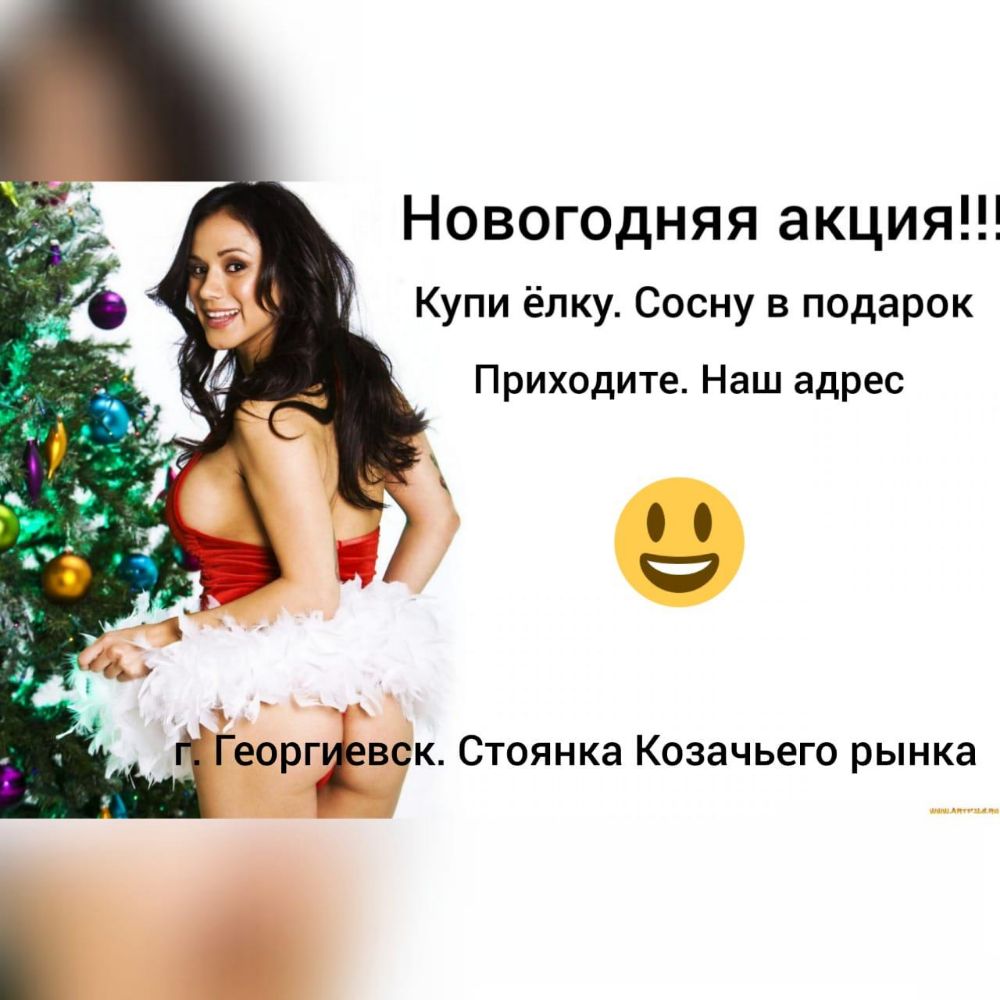 Новогодняя акция Купи ёлку Сосну в подарок Приходите Наш адрес еоргЁвск Стоянка Козачьего рынка