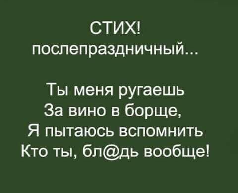 СТИХ поспепраздничный Ты меня ругаешь За вино в борще Я пытаюсь вспомнить Кто ты бпдь вообще