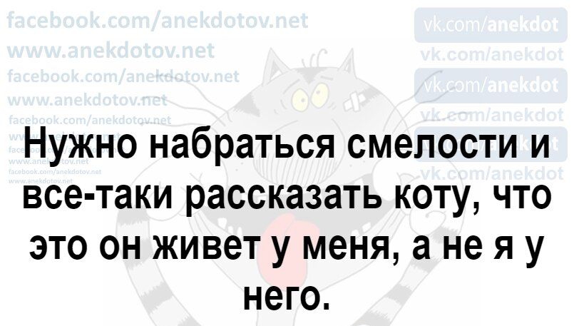 Нужно набраться смелости и все таки рассказать коту что это он живет у меня а не я у него