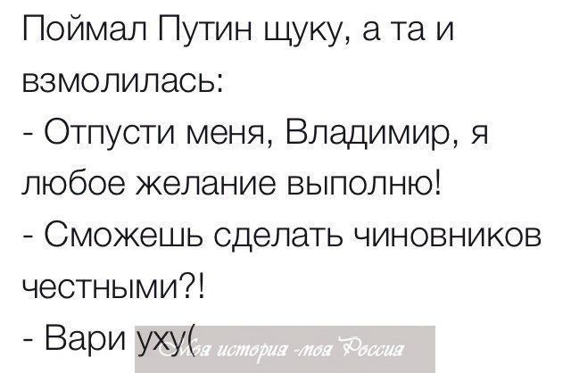 Поймал Путин щуку а та и взмолилась Отпусти меня Владимир 51 любое желание выполню Сможешь сделать чиновников честными Вари уху