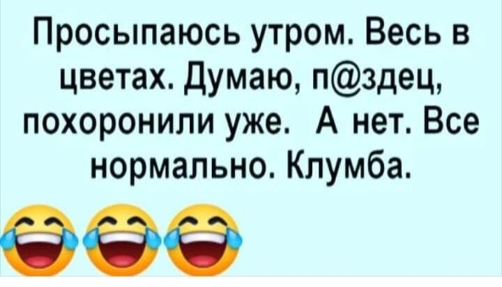 Просыпаюсь утром Весь в цветах думаю пздец похоронили уже А нет Все нормально Клумба 69