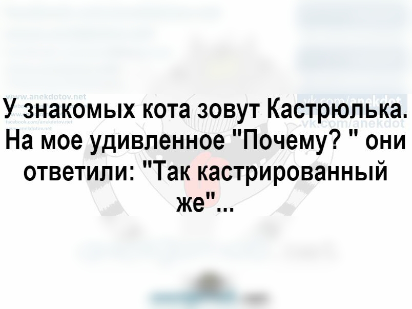 У знакомых кота зовут Кастрюлька На мое удивленное Почему они ответили Так кастрированный же