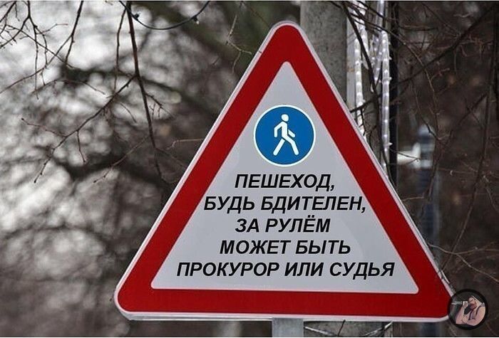 ЗА рулём МОЖЕТ выть прокурор или судья