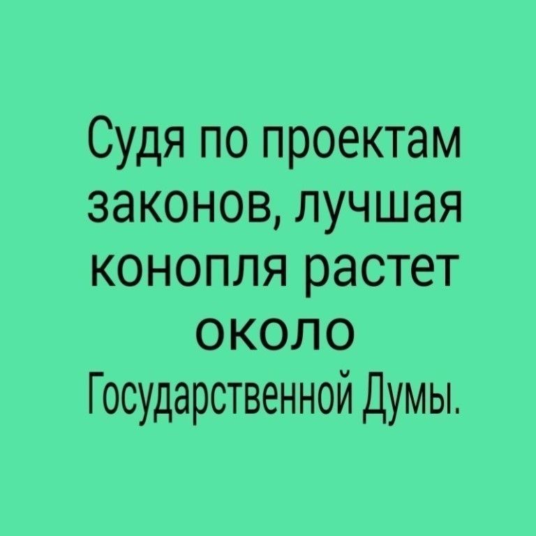 Судя по проектам законов лучшая конопля растет около Государственной Думы