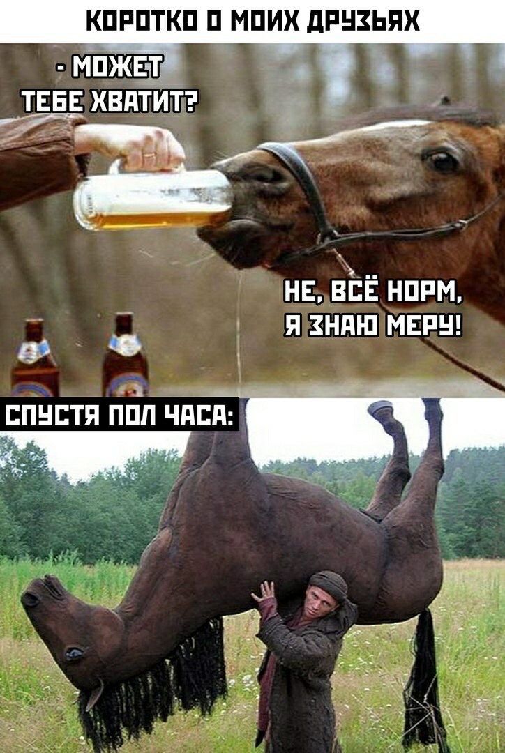 КПРПТКП П МПИХ дРНЗЬЯХ _ТЕЕіЕ вдтт ги нв вЕЁ нппм ндш МЕРЫ