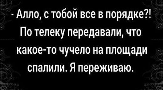 Алло с тобой все в порядке По телеку передавали что какое то чучело на площади спалили Я переживаю