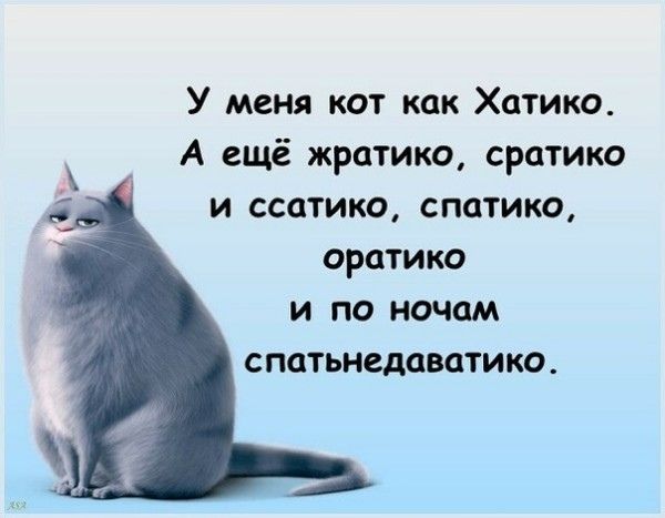 У меня кот как Хатико А ещё жратико сратико и ссатико спатико оратико и по ночам спатьнедаватико
