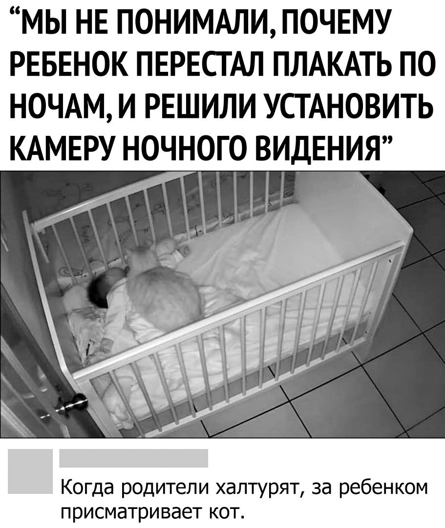МЫ НЕ ПОНИМАЛИ ПОЧЕМУ РЕБЕНОК ПЕРЕСТАЛ ПЛАКАТЬ ПО НОЧАМ И РЕШИЛИ УСТАНОВИТЬ КАМЕРУ НОЧНОГО ВИДЕНИЯ Когда родители халтурят за ребенком присматривает кот