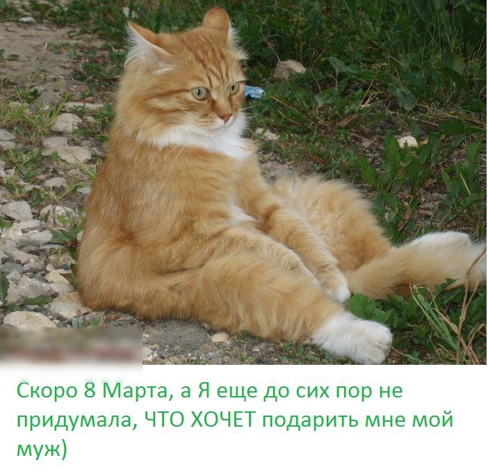 Скоро 8 Марта 3 Я еще до сих пор не придумала ЧТО ХОЧЕТ подарить мне мой МУЖ