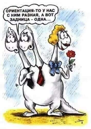 пгивитдцин тп ни с ним маш А вот