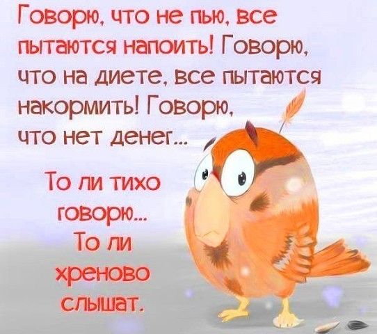 Г оворю что не тью все пытаются напоить Говорю что на диете все пытаются накормить Говорю что нет денег То ги тихо говорю То ги