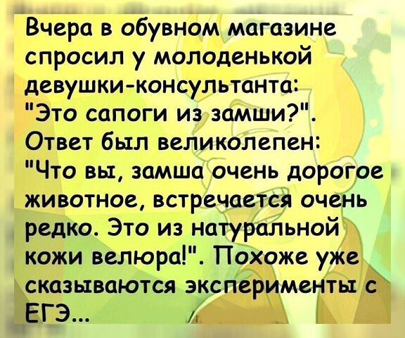 Вчера в обувном магазине спросил у молоденькой девушки консудьтанта Это сапоги из заМши Ответ был великолепен Что вы замша очень дорогое _животное встречаеТся очеНь редко Это из натуральной кожи велюра Пбхоже уже СКЦЗЫВОЮТСЯ ЭКСПВР МСНТЫЁ ЕГЭ