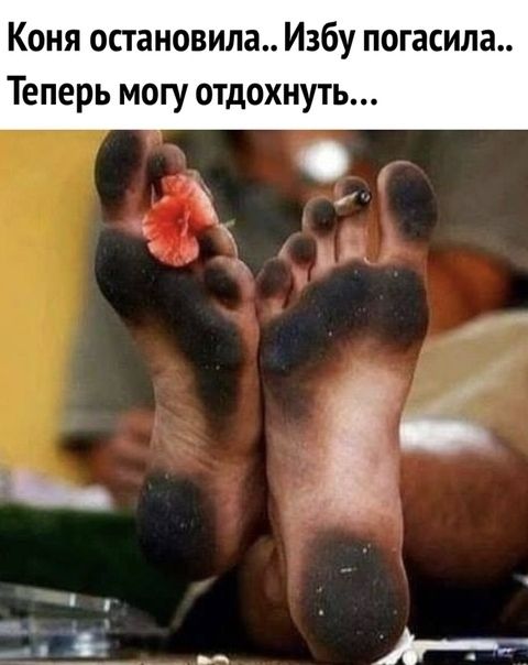 Коня остановила Избу погасила Теперь могу отдохнуть _ О 5 3 __ АР
