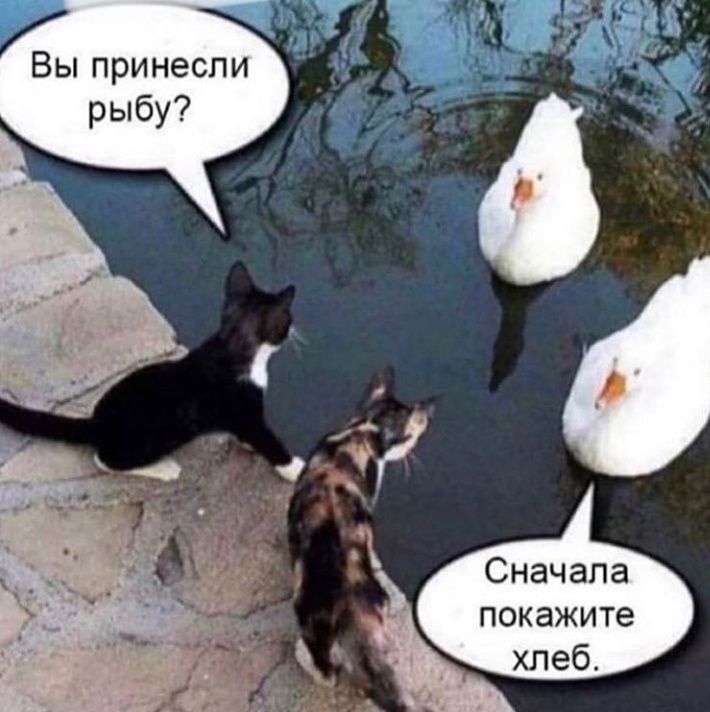 Вы принесли рыбу Сначала покажите хлеб