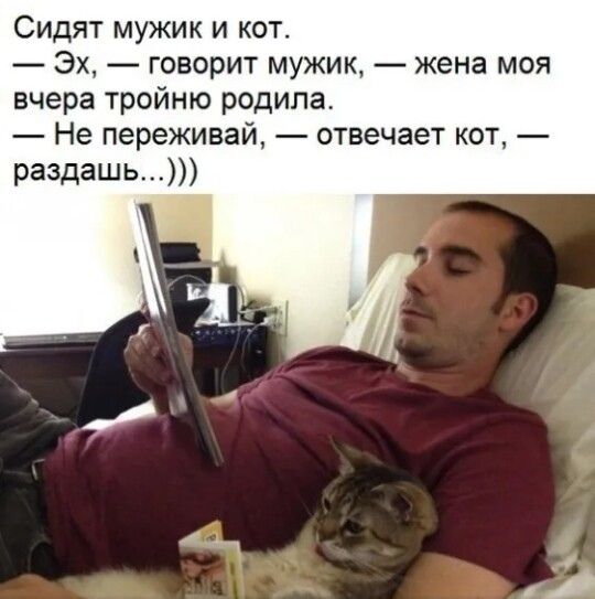 Сидят мужик и кот Эх говорит мужик жена моя вчера тройню родила Не переживай отвечает кот раздашь