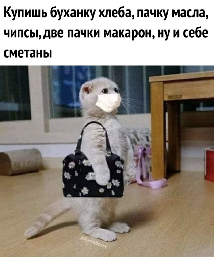 Купишь буханку хлеба пачку масла чипсыдве пачки макарон ну и себе сметаны