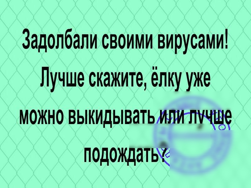 Задолбали своими вирусами Лучше скажите ёлку уже можно выкидыватьигшлщ подождать